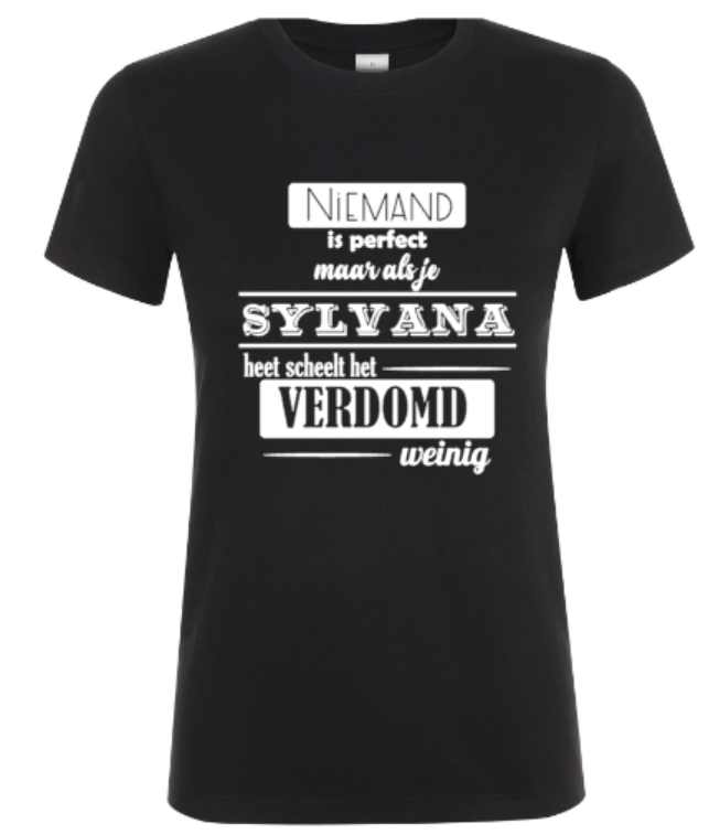 Niemand Is Perfect... (Dames) - Dames T-Shirt / S