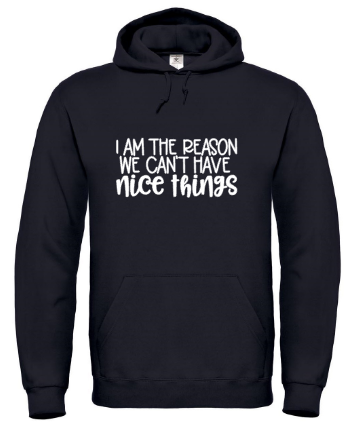 I’m the Reason We Can’t Have Nice Things - Hoodie / S