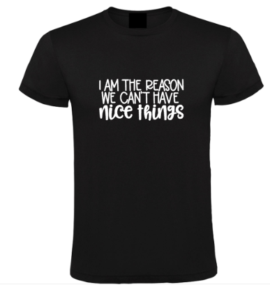 I’m the Reason We Can’t Have Nice Things - Heren T-Shirt / S