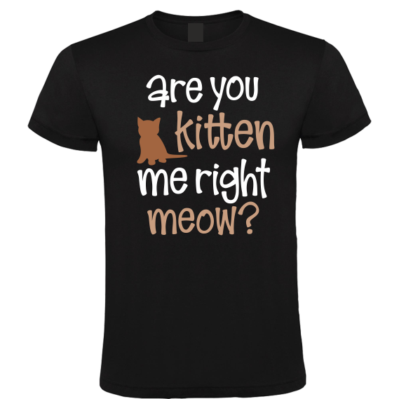 Are You Kitten Me Right Meow? - Heren T-Shirt / S