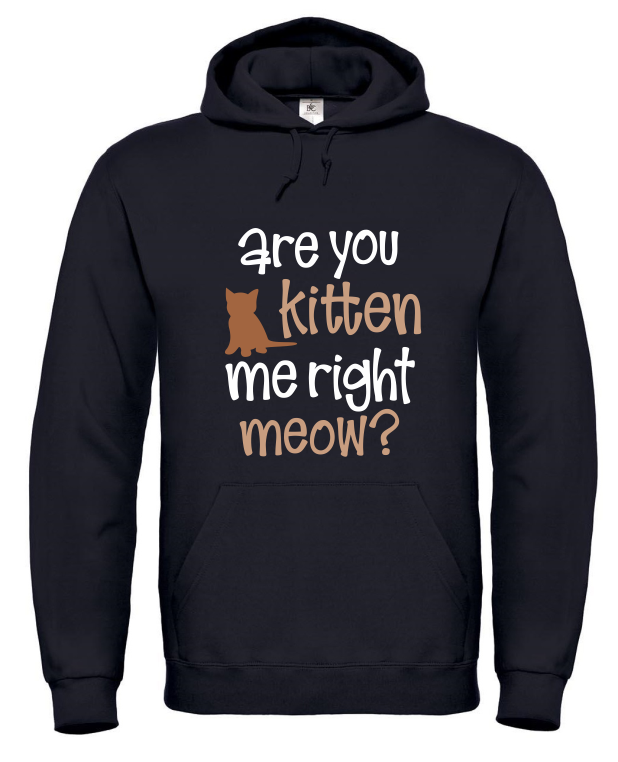 Are You Kitten Me Right Meow? - Hoodie / S