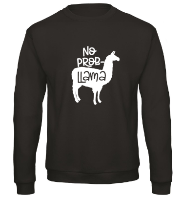 No Probllama - Sweater / S