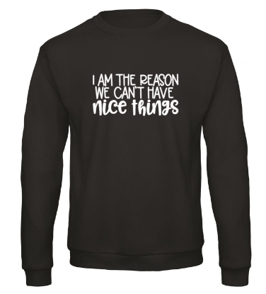 I’m the Reason We Can’t Have Nice Things - Sweater / S